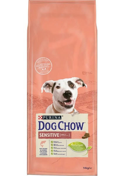 Dog Chow Somonlu Köpek Maması 14 kg