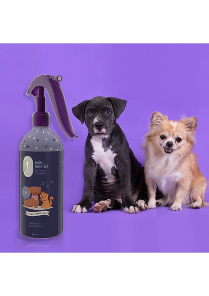 Gallipoli Lavender Pet Şampuanı 400 ml +  Pet Koku Giderici 400 ml