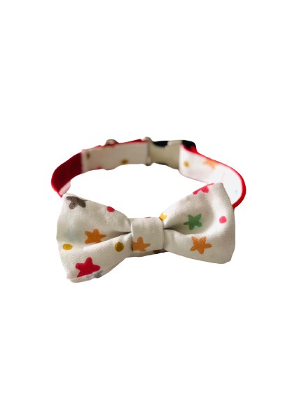 Star Köpek Boyun Tasması