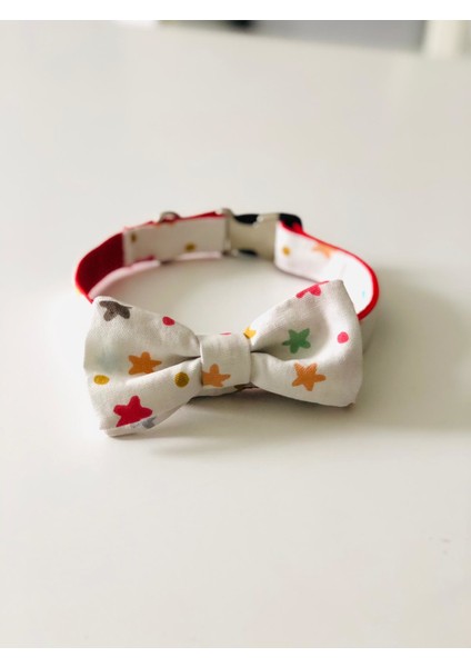 Star Köpek Boyun Tasması