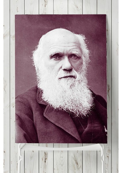 Charles Darwin Bilimsel Poster 40 x 60 cm