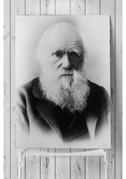 Charles Darwin Bilimsel Poster 40 x 60 cm