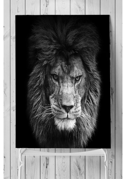 Aslan Motivasyon Poster 40 x 60 cm