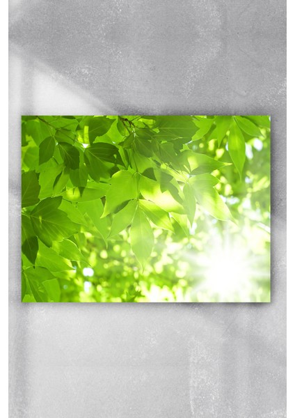 Yeşil Yapraklar Doğa Sanatsal Poster 40 x 60 cm
