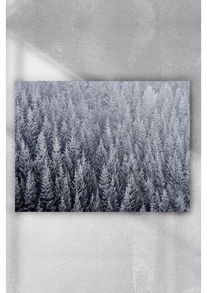 Kış Kar Manzara Poster 40 x 60 cm