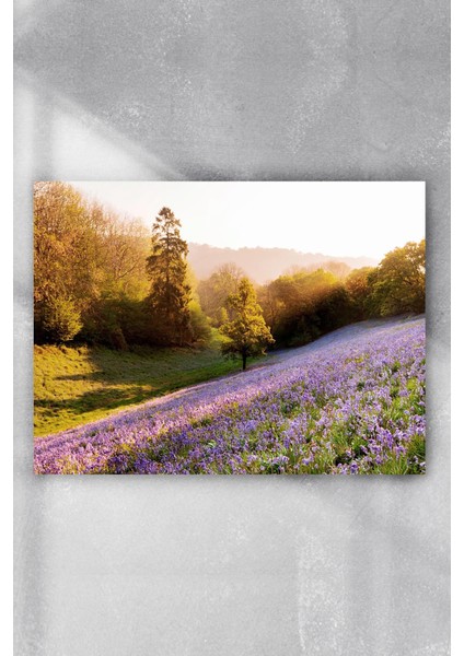 İlkbahar Manzara Poster 6 40 x 60 cm
