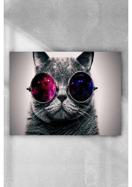 Kedi Eğlenceli Mizahi Poster 40 x 60 cm