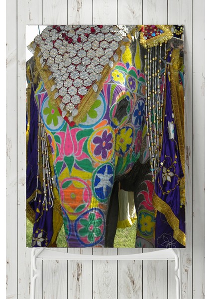 Hindistan Fil Manzara Posteri 40 x 60 cm