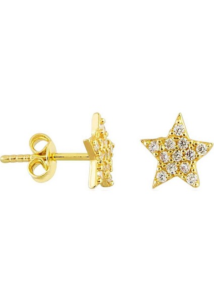 Yıldız Altın Çivi Küpe 14K Gold Taşlı