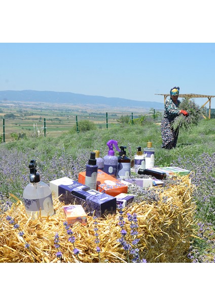 Gallipoli Lavender Pet Şampuanı 500 ml + Koku Giderici