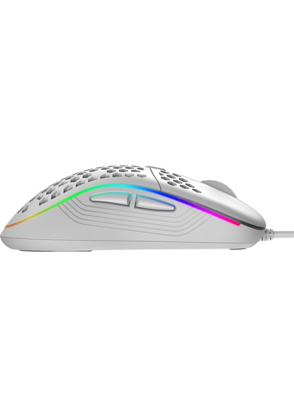 SMX-R85 Gentle Rgb Ledli Mouse