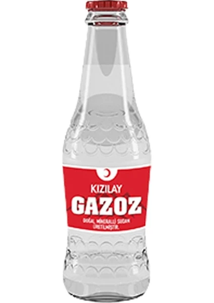 Gazoz 250 ml x 24'lü