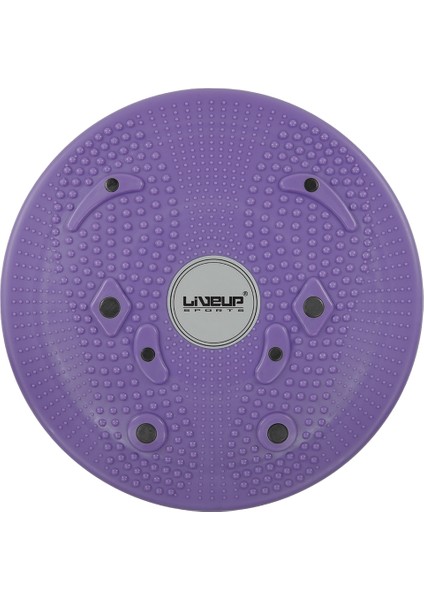 LS3165B Magnetic Disc Twister