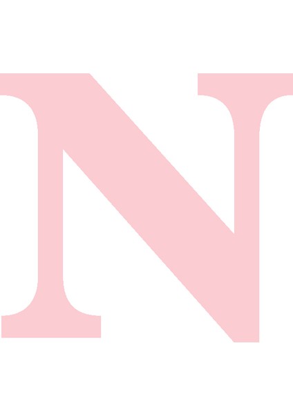 Karton Harf Banner Pembe N