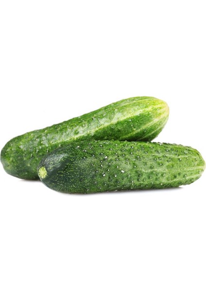 Salata Kornişon 500 gr