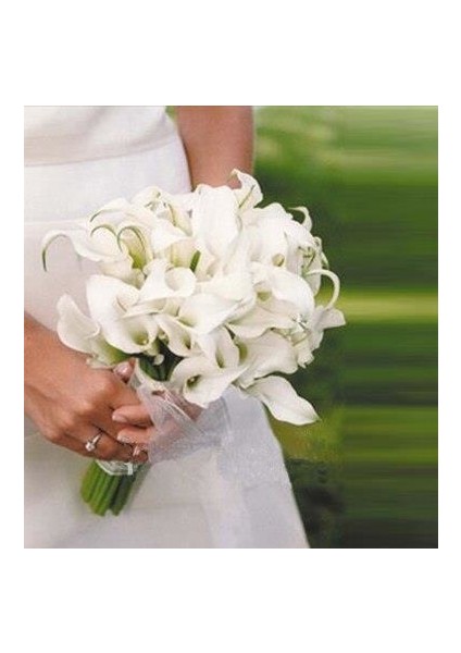 Yapay Çiçek Islak Gala Gerçeksi Eva Malzeme Cala Flower 8li Beyaz
