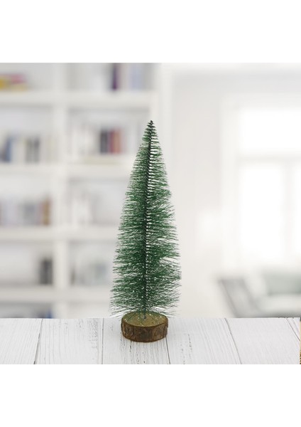 Dekoratif Çam Ağacı