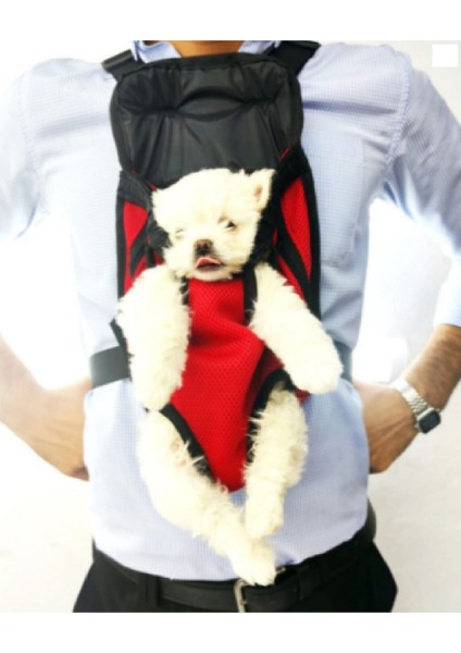 Kırmızı Kedi Köpek Taşıma Çantası Ana Kucağı Petwa fiyatları