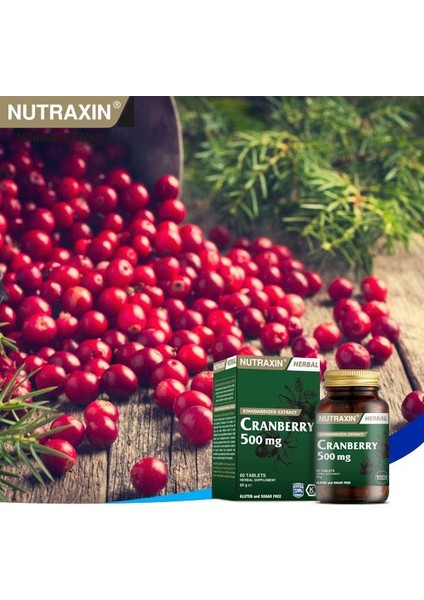 Cranberry 500 mg 60 Tablet + Hap Kutusu