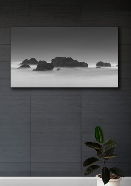 50X70 Flu Black Kanvas Duvar Tablo