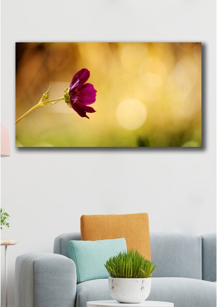 50X70 Purple Kanvas Duvar Tablo