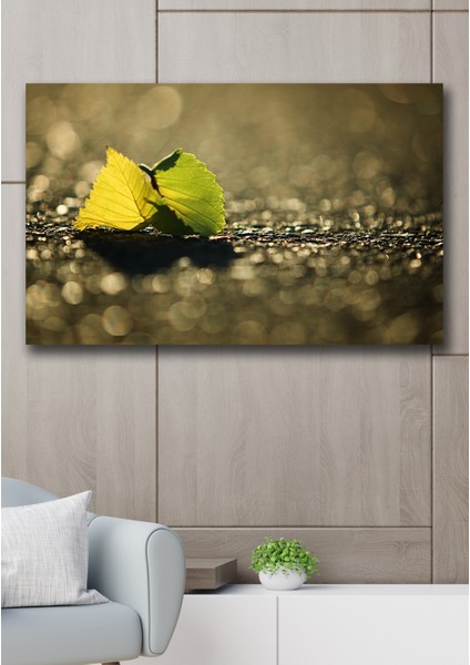 50X70 Yağmur Kanvas Duvar Tablo