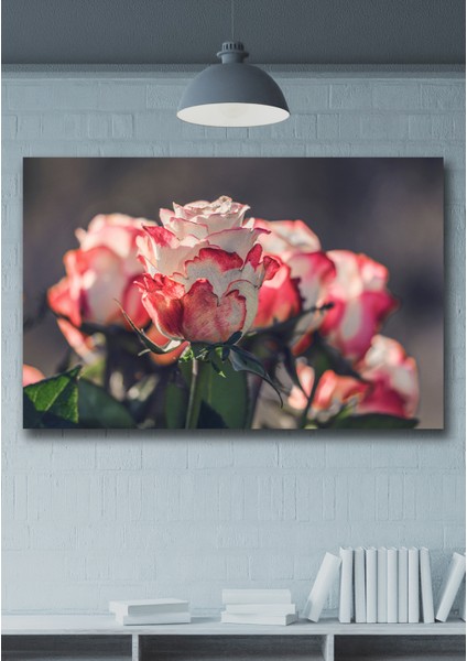 50X70 Buket Kanvas Duvar Tablo