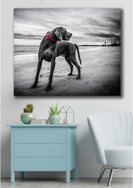 50X70 Kayıp Köpek Kanvas Duvar Tablo
