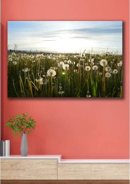 50X70 Hassas Bahçe Kanvas Duvar Tablo