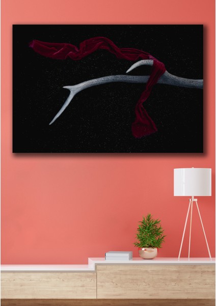 50X70 Siyahtaki Bordo Kanvas Duvar Tablo