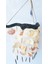 Renkli Deniz Kabuğu Sarkıtlı Doğal Ağaç Askılı El Yapımı Rüzgar Çanı 40x60 cm - RZG22 2