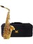 Alto Saksafon Gold BR-AS100L. 1