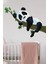 Pektas Uyuyan Panda Çocuk Odası Sticker 1