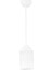 Papatya Desen Spor Model Modern Avize 1