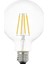 G95 Rustik LED Ampul 6W Beyaz Işık 6500K 1