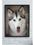 Husky Hayvan Çerçeveli Tablo 21 x 30 cm 1