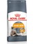 Hair & Skin Care Kedi Maması 2kg 1