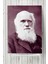 Charles Darwin Bilimsel Poster 40 x 60 cm 1