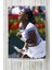 Serena Williams Posteri 40 x 60 cm 1