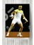 Rafael Nadal Posteri 40 x 60 cm 1