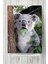 Koala Hayvan Posteri 40 x 60 cm 1
