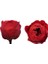 Rose Amor Özel Şoklanmış Gül XlSolmayan Gül 1