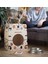 Lıttle Pebble Cat Home 5