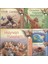Tübitak Popüler Bilim Çevir-Bak Ciltli 5 Kitap Set (5+ Yaş) 1