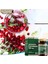 Cranberry 500 mg 60 Tablet + Hap Kutusu 3