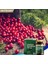 Cranberry 500 mg 60 Tablet + Hap Kutusu 4