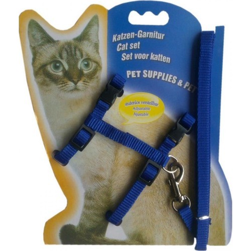 kedi gezdirme tasması nasıl takılır