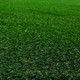 ISM Suni Çim Halı Serisi Yüksek Dokulu Kalın Çim Yeşil 20 mm