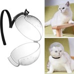 Hastürk Kedi Bakım ve Koruma Küresi