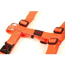 Farmapets PetTagArt  Ayarlanabilir Neon Turuncu H Tipi Köpek Göğüs Tasması